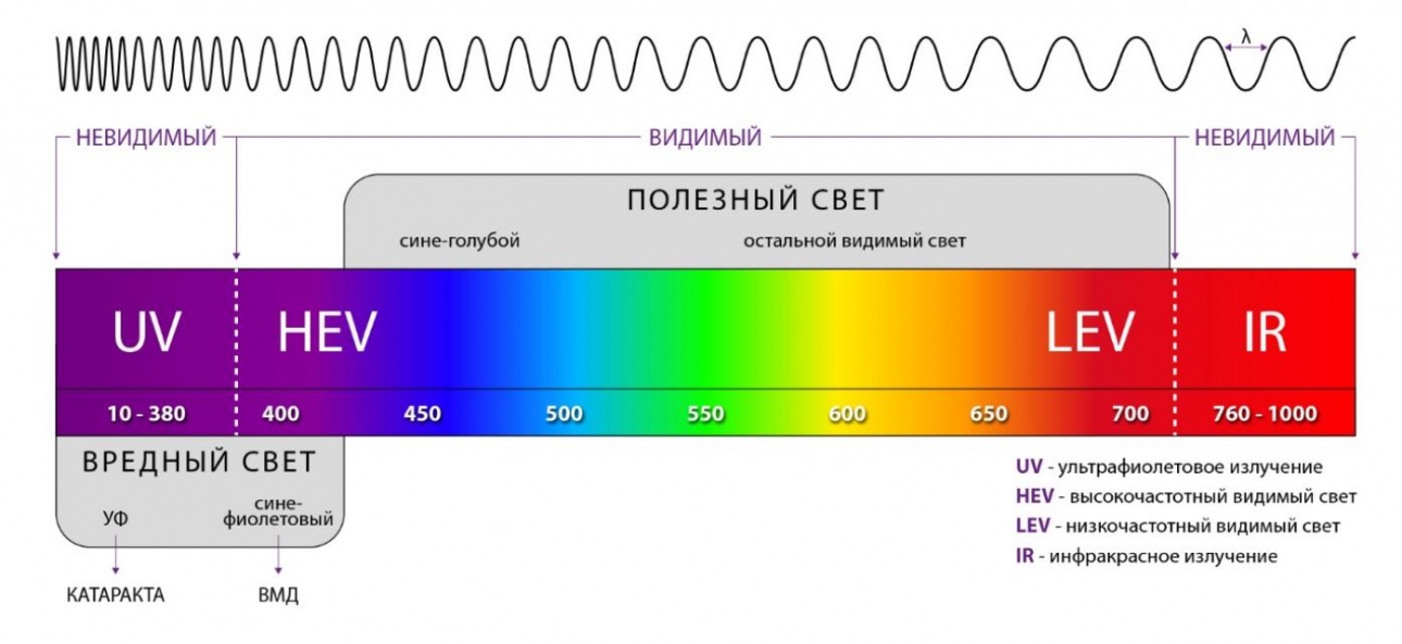 Электромагнитные волны воспринимаемые глазом